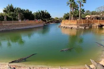 Crocoparc Admission and Transfer – Agadir