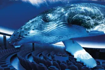 Palma Aquarium Ticket – Skip the Line Admission Mallorca