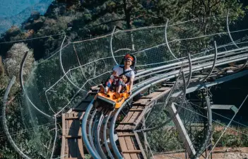 Pongyang Jungle Coaster & Zipline – Adventure Experience