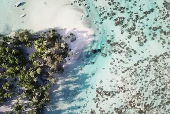 Tahaa Lagoon Tour – Small-Group Excursion From Raiatea