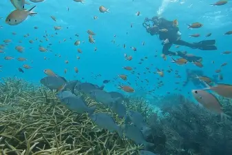 Discover Scuba Diving Experience – Guided Underwater Adventure