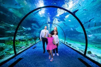 The National Aquarium Abu Dhabi Ticket – Aquarium Admission