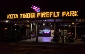 Kota Tinggi Firefly River Night Tour – Johor Bahru Cruise