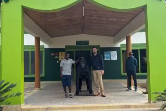 3 Day Gorilla Tracking Tour – Bwindi Forest Safari