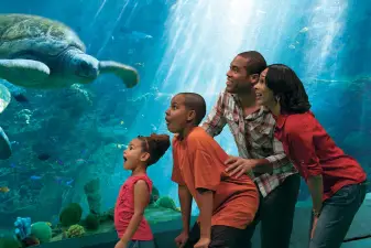 SeaWorld San Diego Ticket