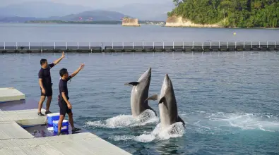 Ocean Adventure Ticket in Subic