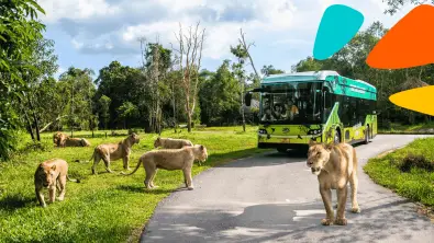 Vinpearl Safari Phu Quoc Ticket