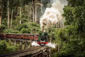 Puffing Billy Railway Ticket