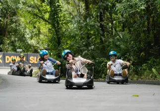 Skyline Luge Singapore Ticket