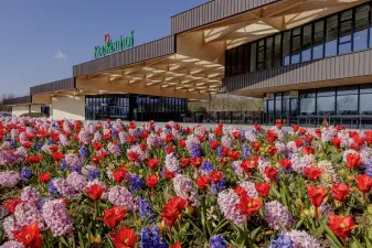Keukenhof Gardens Ticket with Hop-on Hop-off Bus from Amsterdam