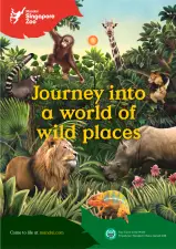 Singapore Zoo Ticket | Mandai Wildlife Reserve, Singapore