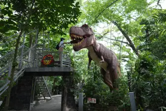 Dinosaurs Island Ticket in Clark