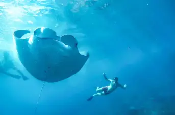 Nusa Lembongan and Manta Bay Snorkeling Experience 