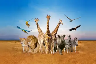 Safari World Bangkok Ticket
