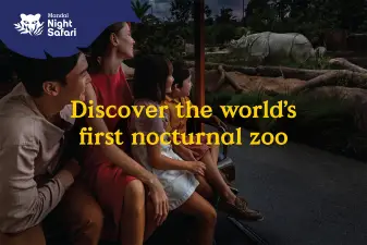 Night Safari Ticket | Mandai Wildlife Reserve, Singapore