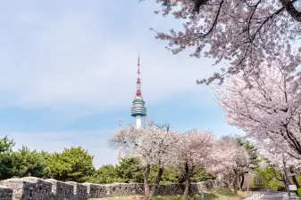 N Seoul Tower Observatory Ticket