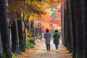 Nami Island Ticket