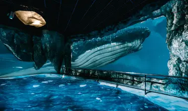 National Museum of Marine Biology and Aquarium Ticket