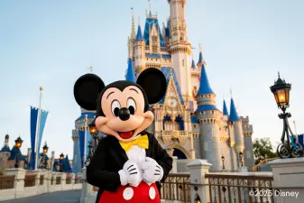 Walt Disney World Resort Ticket