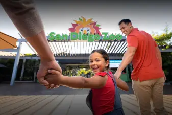 San Diego Zoo Ticket