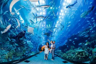 Dubai Aquarium Ticket