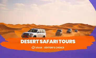 Best Desert Safari Tours in Dubai 