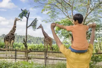Singapore Zoo Tickets | Mandai Wildlife Reserve, Singapore