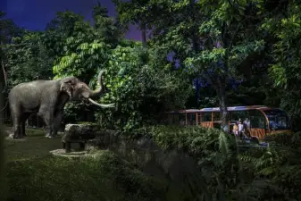 Night Safari Tickets | Mandai Wildlife Reserve, Singapore