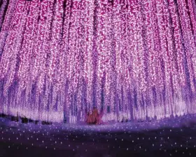 Ashikaga Flower Park Admission Ticket|Tochigi, Japan