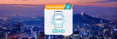 [50% Off] South Korea SIM Card | SKT/LG Daily High-Speed Data / Total Data eSIM