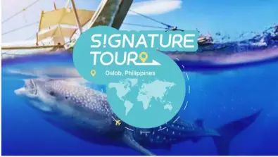 [Guaranteed Departure for 1] Oslob Whale Shark Snorkeling and Kawasan Falls Canyoneering Day Tour | Cebu, Philippines