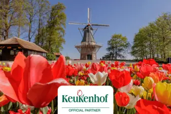 Keukenhof Entry Ticket and Sightseeing Cruise with Transportation from Amsterdam| Netherlands