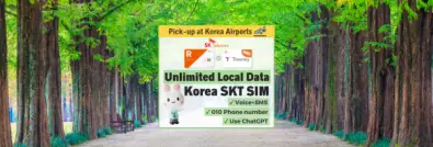 【20% OFF|Free Daiso eCoupon】Korea SKT 4G/LTE unlimited data SIM + T-Money transportation card + 010 Phone number (Korea airport pick-up)